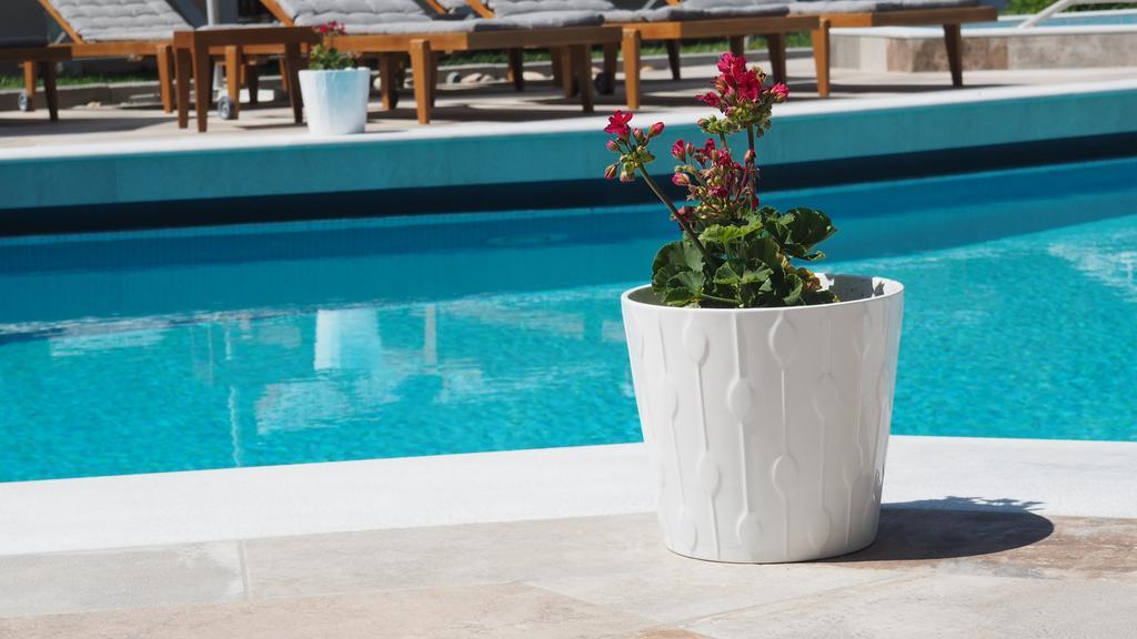 Evridiki Hotel Skala Fourkas